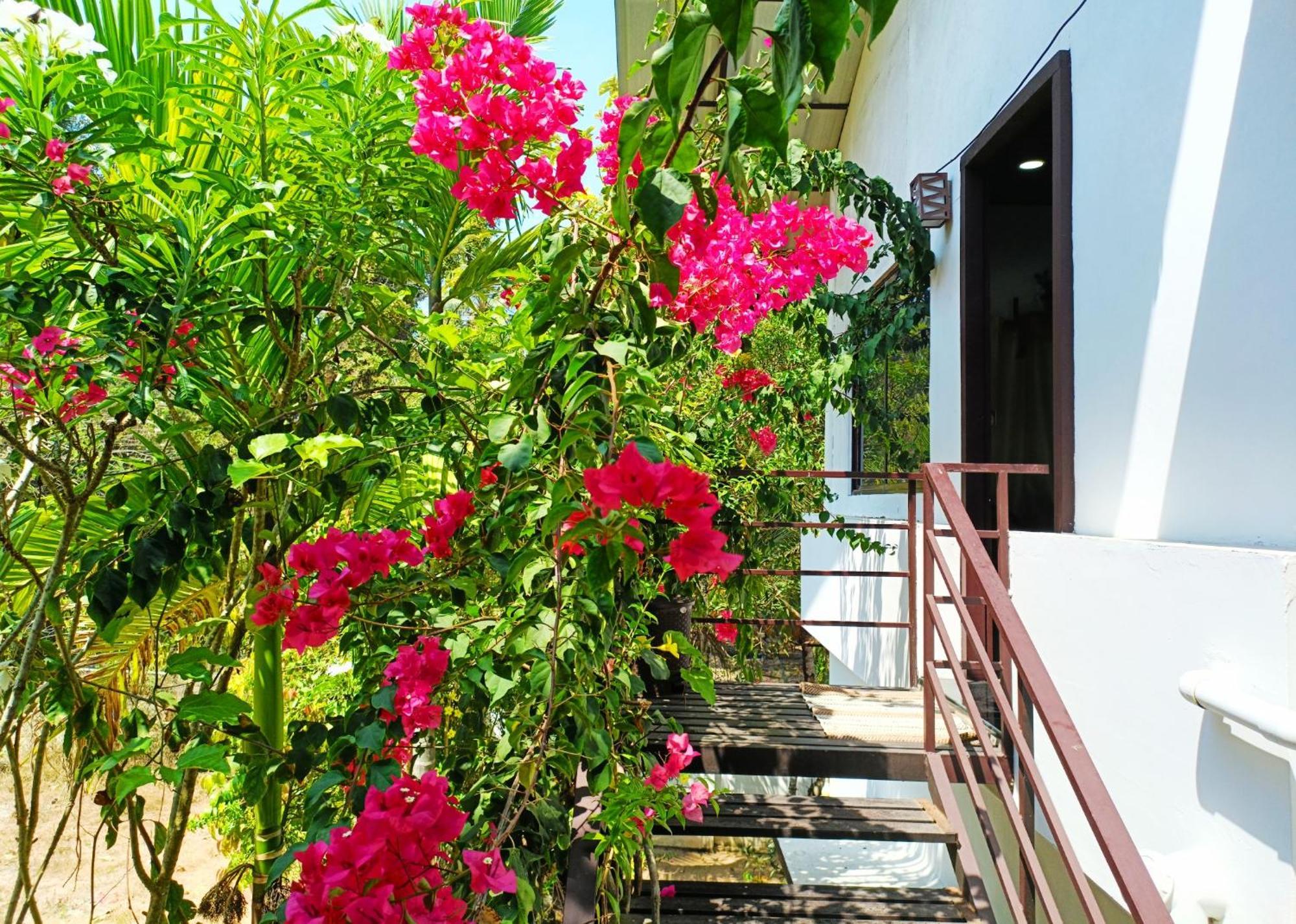Alma Homestay Mararikulam Bagian luar foto